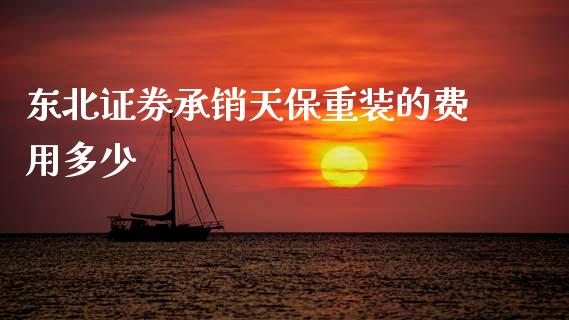 东北证券承销天保重装的费用多少_https://wap.ycdhulan.com_国际财经_第1张