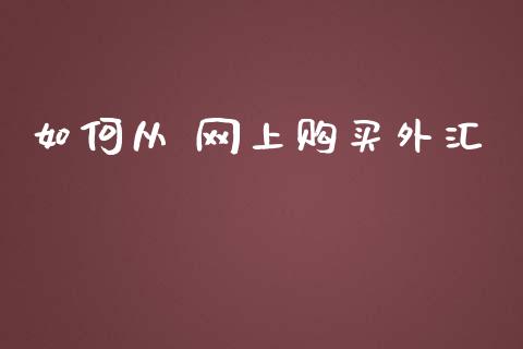 如何从 网上购买外汇_https://wap.ycdhulan.com_投资基金_第1张
