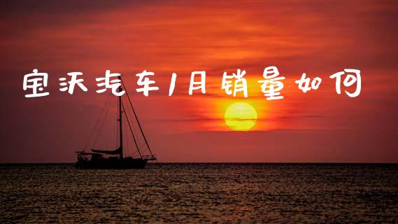 宝沃汽车1月销量如何_https://wap.ycdhulan.com_金融咨询_第1张