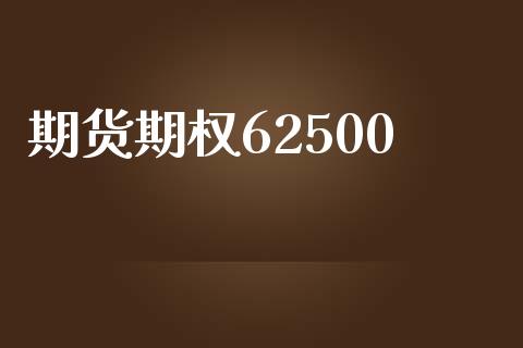 期货期权62500_https://wap.ycdhulan.com_投资基金_第1张