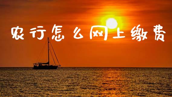农行怎么网上缴费_https://wap.ycdhulan.com_财经新闻_第1张