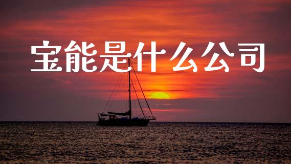 宝能是什么公司_https://wap.ycdhulan.com_金融咨询_第1张