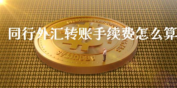 同行外汇转账手续费怎么算_https://wap.ycdhulan.com_投资基金_第1张