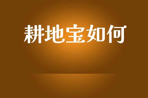 耕地宝如何_https://wap.ycdhulan.com_财务投资_第1张