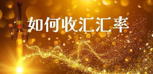如何收汇汇率_https://wap.ycdhulan.com_投资基金_第1张