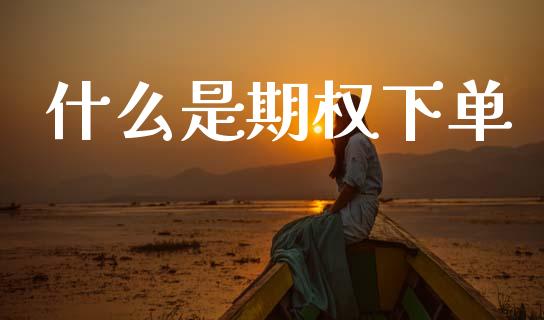 什么是期权下单_https://wap.ycdhulan.com_财务投资_第1张