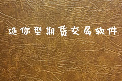 迷你型期货交易软件_https://wap.ycdhulan.com_投资基金_第1张