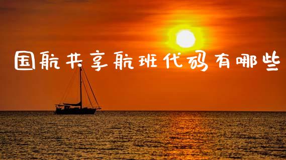 国航共享航班代码有哪些_https://wap.ycdhulan.com_财务投资_第1张