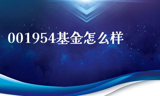 001954基金怎么样_https://wap.ycdhulan.com_金融咨询_第1张