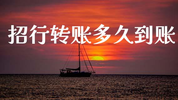 招行转账多久到账_https://wap.ycdhulan.com_财经新闻_第1张