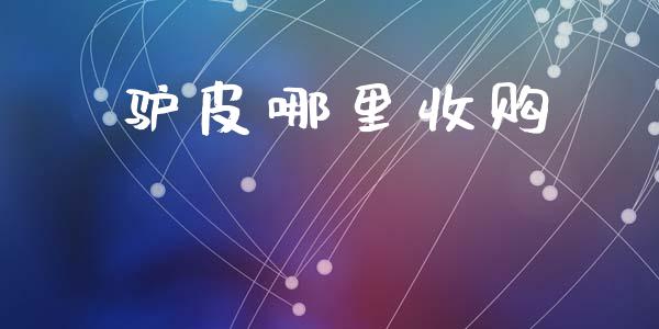 驴皮哪里收购_https://wap.ycdhulan.com_财经新闻_第1张
