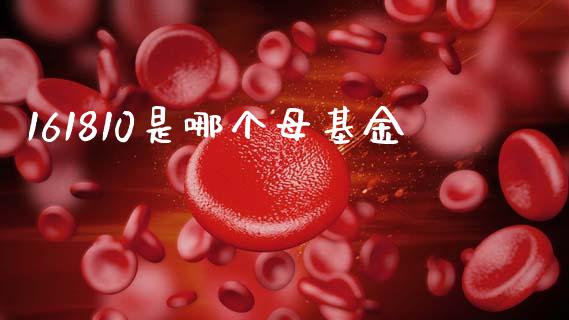 161810是哪个母基金_https://wap.ycdhulan.com_金融咨询_第1张