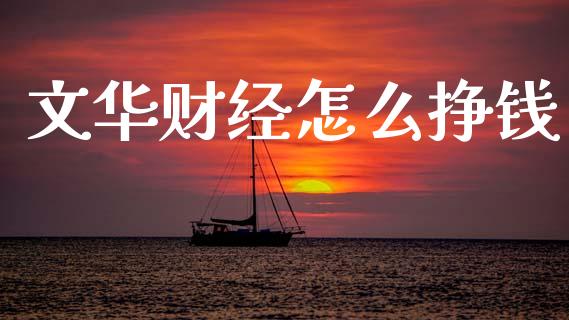 文华财经怎么挣钱_https://wap.ycdhulan.com_国际财经_第1张