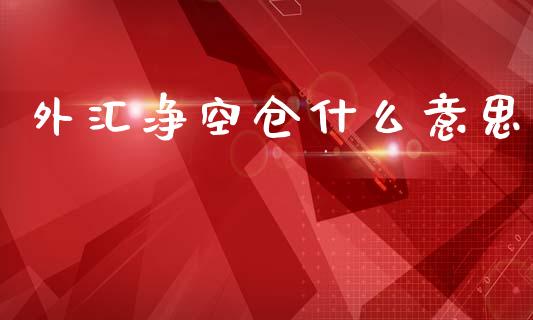 外汇净空仓什么意思_https://wap.ycdhulan.com_金融咨询_第1张