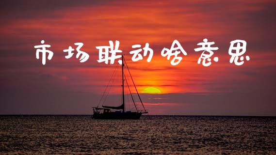 市场联动啥意思_https://wap.ycdhulan.com_投资基金_第1张