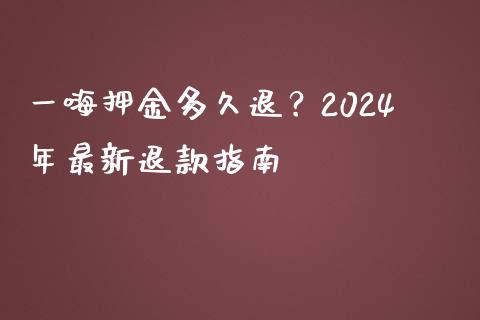 一嗨押金多久退？2024年最新退款指南_https://wap.ycdhulan.com_财经新闻_第1张