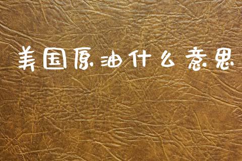 美国原油什么意思_https://wap.ycdhulan.com_货币市场_第1张