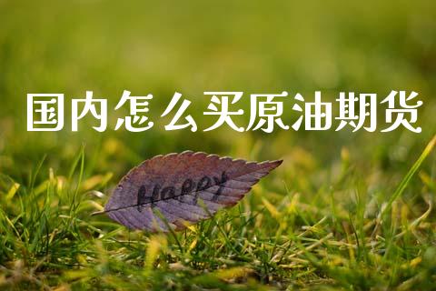 国内怎么买原油期货_https://wap.ycdhulan.com_财务投资_第1张
