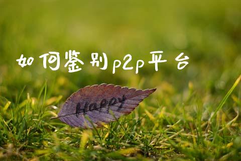 如何鉴别p2p平台_https://wap.ycdhulan.com_财务投资_第1张