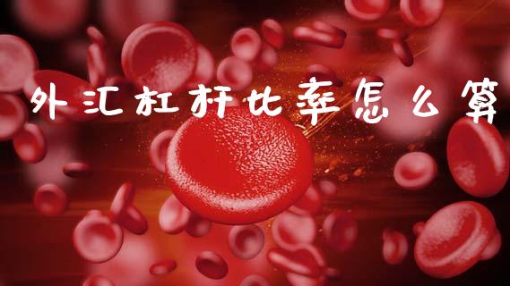 外汇杠杆比率怎么算_https://wap.ycdhulan.com_投资基金_第1张