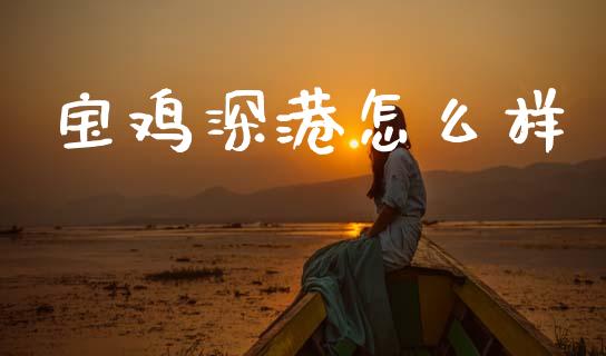 宝鸡深港怎么样_https://wap.ycdhulan.com_财经新闻_第1张