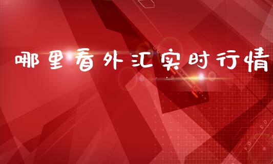 哪里看外汇实时行情_https://wap.ycdhulan.com_财务投资_第1张