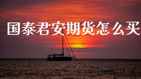 国泰君安期货怎么买_https://wap.ycdhulan.com_货币市场_第1张
