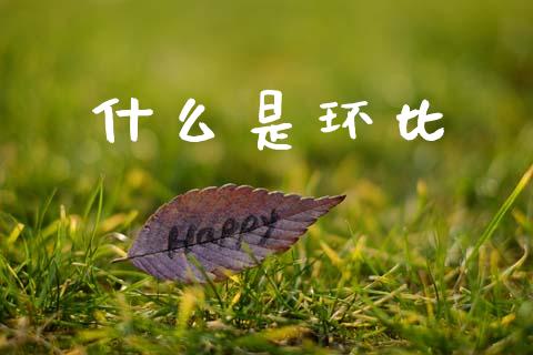 什么是环比_https://wap.ycdhulan.com_金融咨询_第1张