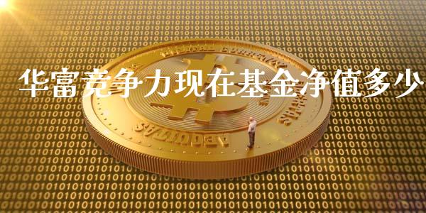 华富竞争力现在基金净值多少_https://wap.ycdhulan.com_财经新闻_第1张
