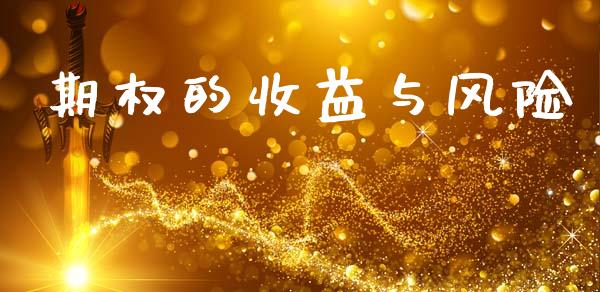 期权的收益与风险_https://wap.ycdhulan.com_金融咨询_第1张