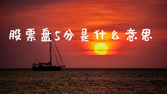 股票盘5分是什么意思_https://wap.ycdhulan.com_投资基金_第1张