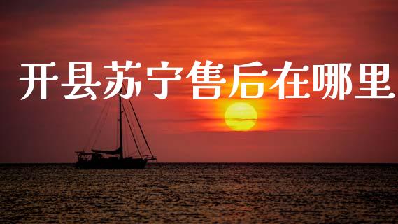 开县苏宁售后在哪里_https://wap.ycdhulan.com_财经新闻_第1张