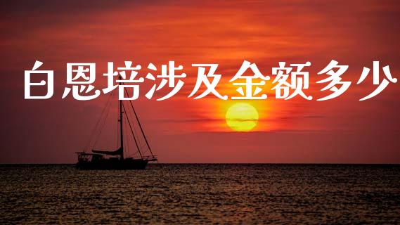 白恩培涉及金额多少_https://wap.ycdhulan.com_投资基金_第1张