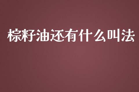 棕籽油还有什么叫法_https://wap.ycdhulan.com_国际财经_第1张