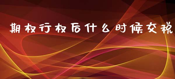 期权行权后什么时候交税_https://wap.ycdhulan.com_货币市场_第1张