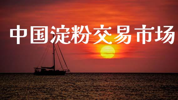中国淀粉交易市场_https://wap.ycdhulan.com_国际财经_第1张