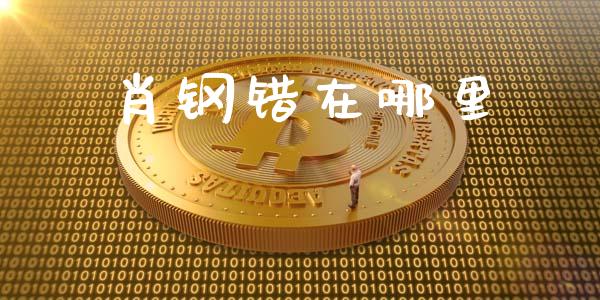 肖钢错在哪里_https://wap.ycdhulan.com_投资基金_第1张
