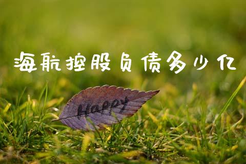 海航控股负债多少亿_https://wap.ycdhulan.com_货币市场_第1张