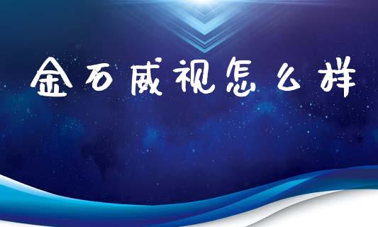 金石威视怎么样_https://wap.ycdhulan.com_财务投资_第1张