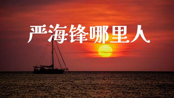 严海锋哪里人_https://wap.ycdhulan.com_财经新闻_第1张