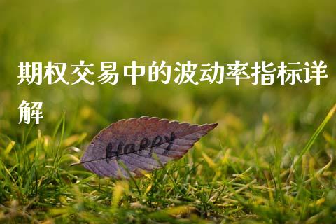 期权交易中的波动率指标详解_https://wap.ycdhulan.com_财经新闻_第1张