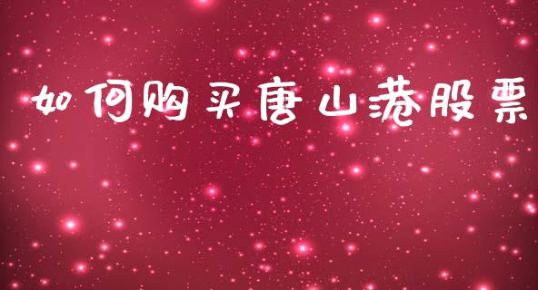 如何购买唐山港股票_https://wap.ycdhulan.com_财务投资_第1张