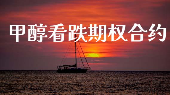 甲醇看跌期权合约_https://wap.ycdhulan.com_投资基金_第1张