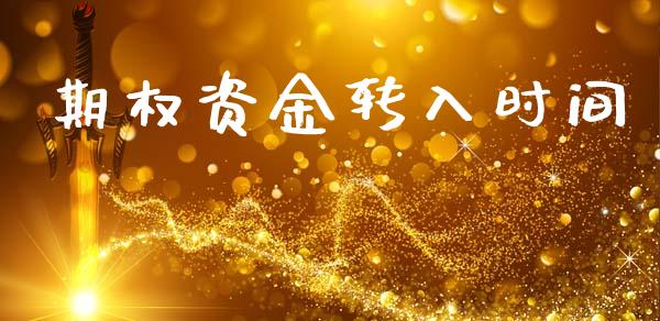 期权资金转入时间_https://wap.ycdhulan.com_货币市场_第1张