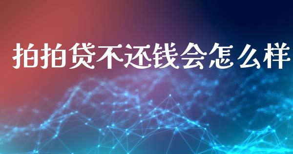 拍拍贷不还钱会怎么样_https://wap.ycdhulan.com_金融咨询_第1张