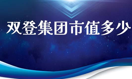 双登集团市值多少_https://wap.ycdhulan.com_投资基金_第1张