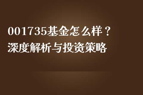 001735基金怎么样？深度解析与投资策略_https://wap.ycdhulan.com_国际财经_第1张