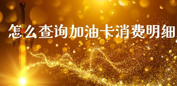 怎么查询加油卡消费明细_https://wap.ycdhulan.com_财务投资_第1张