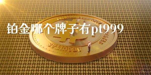 铂金哪个牌子有pt999_https://wap.ycdhulan.com_金融咨询_第1张