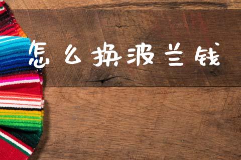怎么换波兰钱_https://wap.ycdhulan.com_财经新闻_第1张